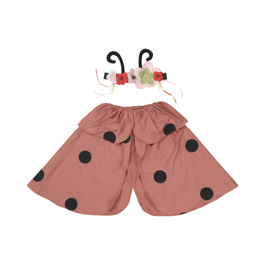 Dress-up Ladybug set 2