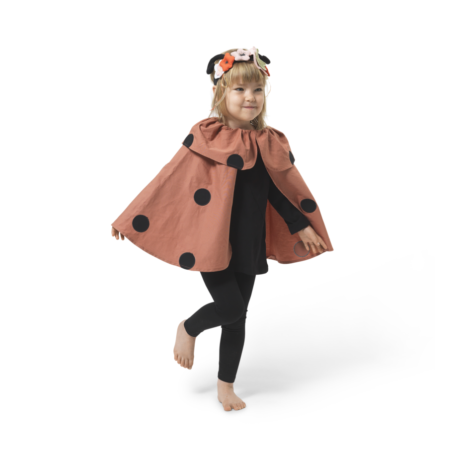 Dress-up Ladybug set (primary)